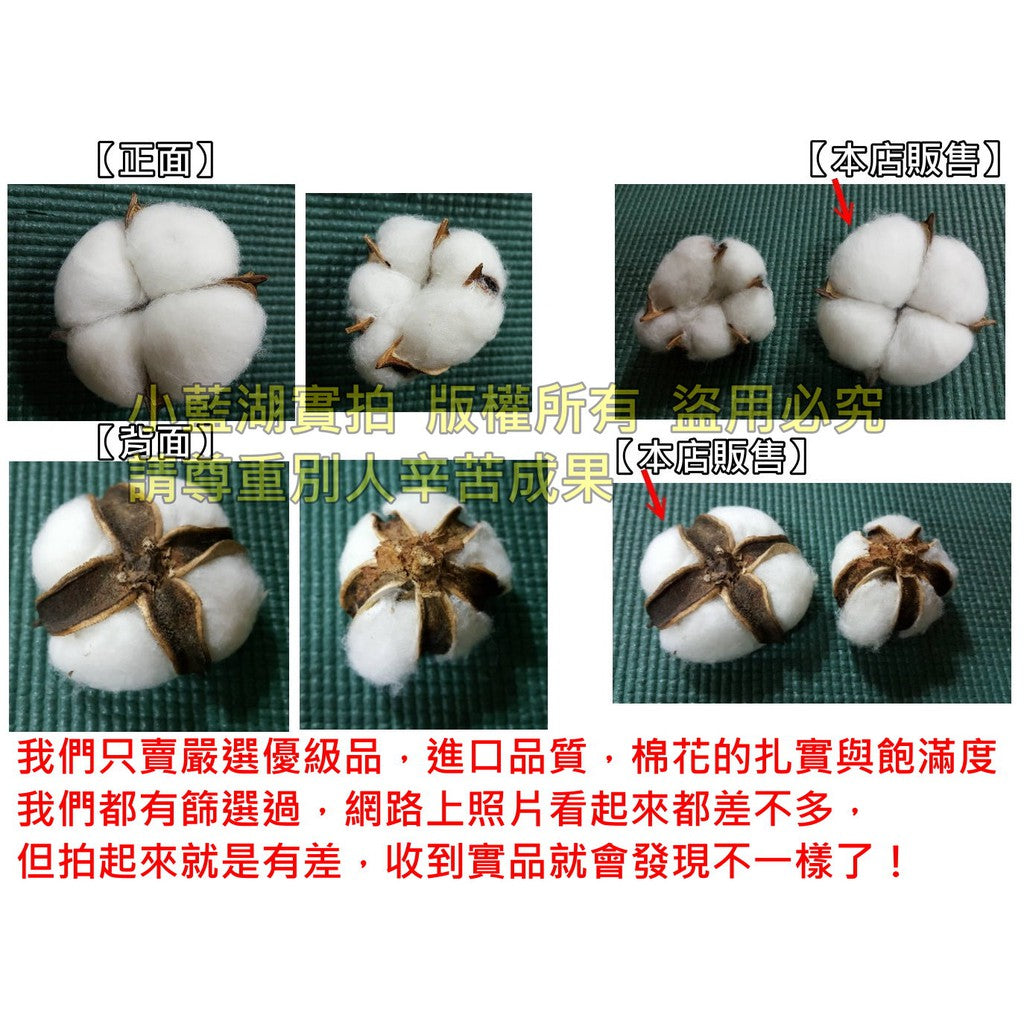 天然乾燥棉花