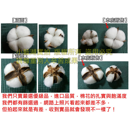天然乾燥棉花