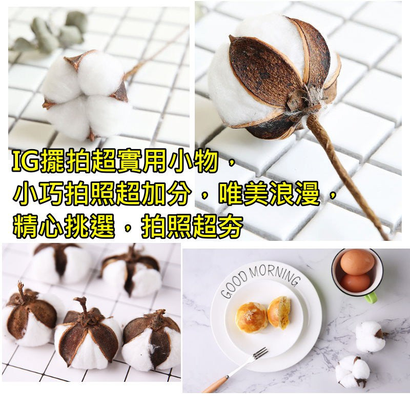 天然乾燥棉花