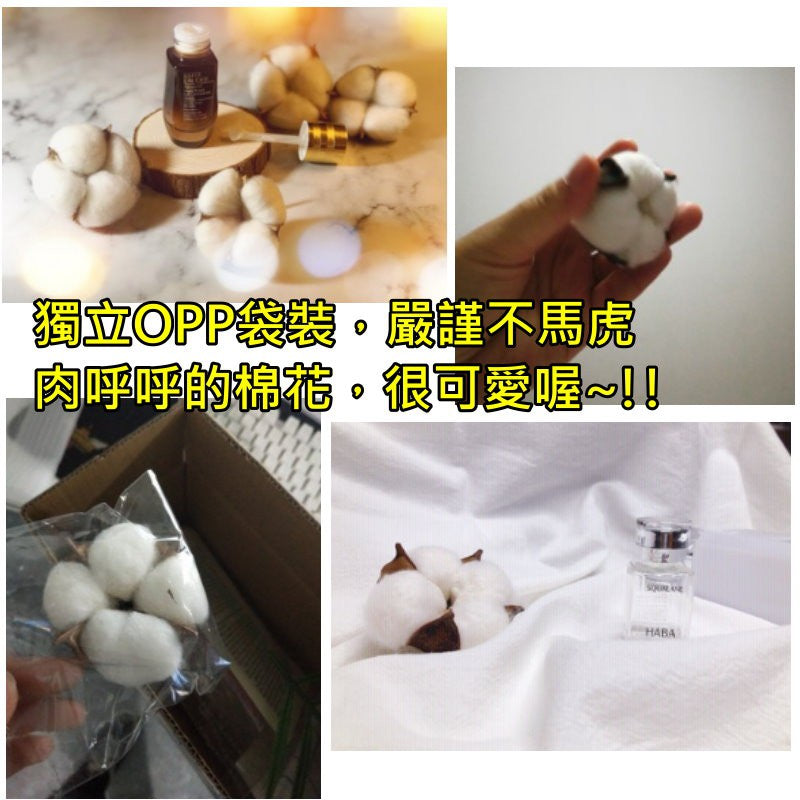 天然乾燥棉花