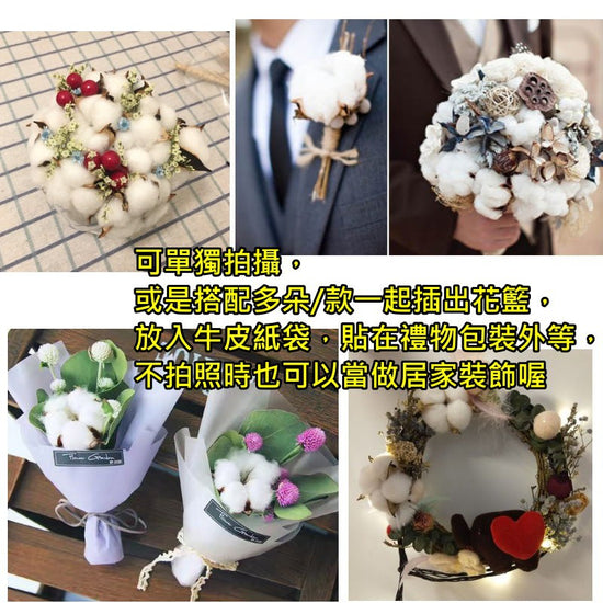 天然乾燥棉花