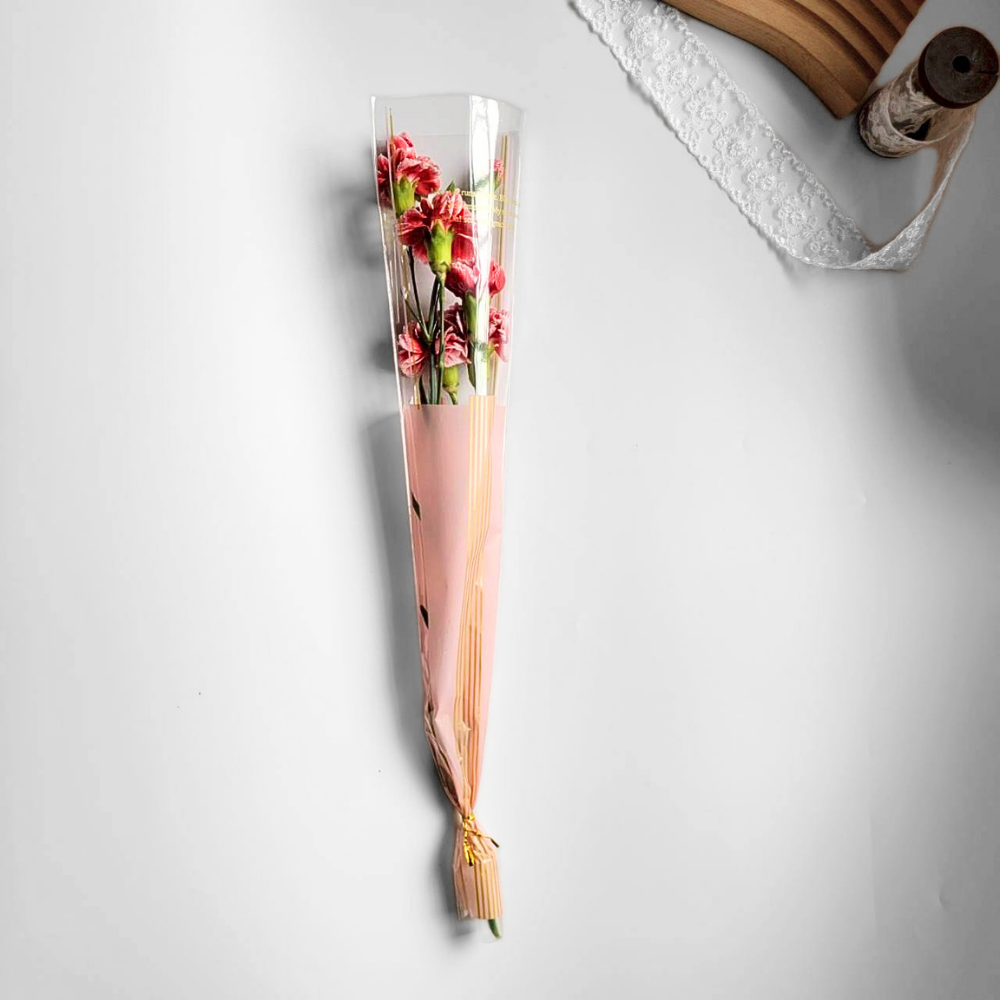 新鮮康乃馨花束 | 單支康乃馨鮮花