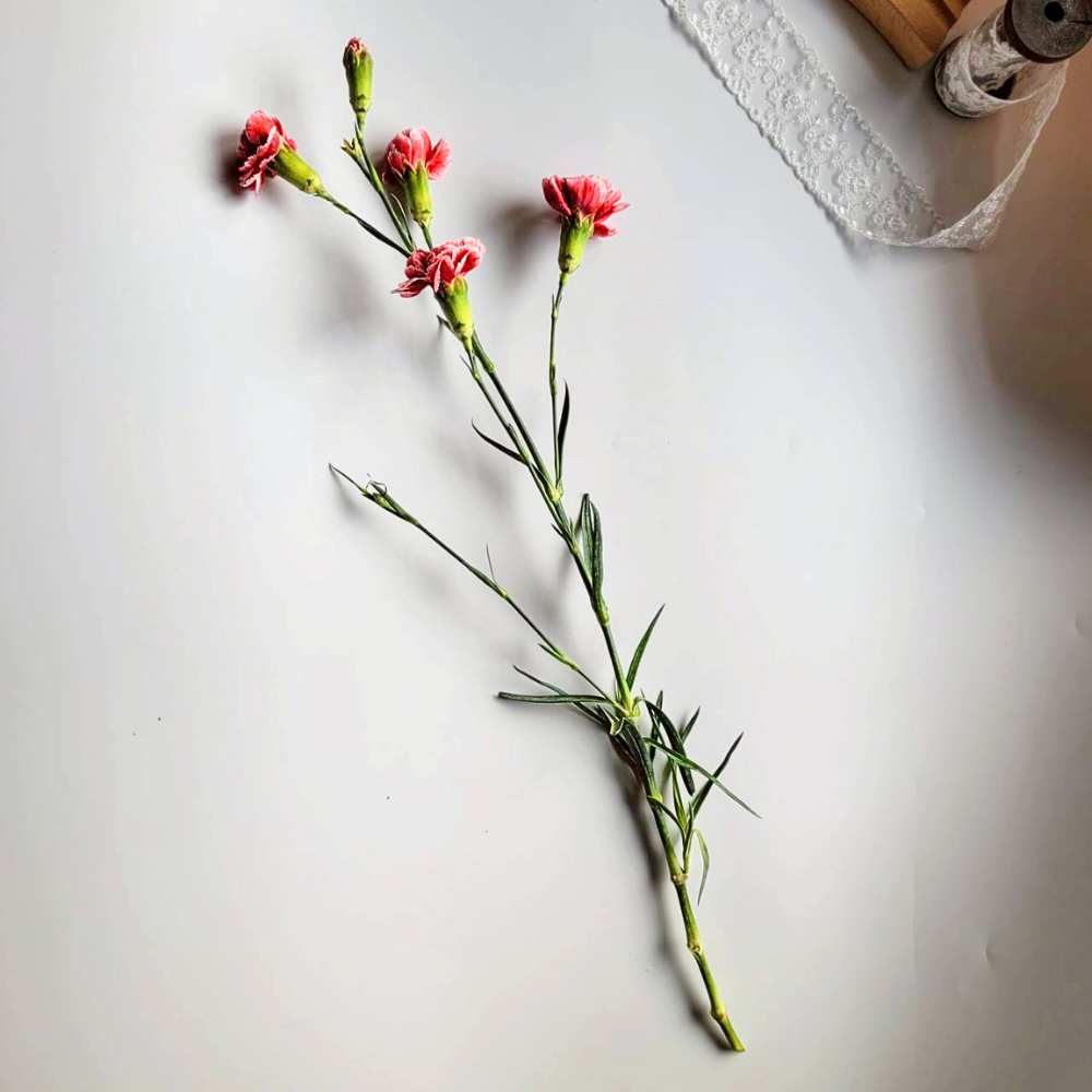 新鮮康乃馨花束 | 單支康乃馨鮮花