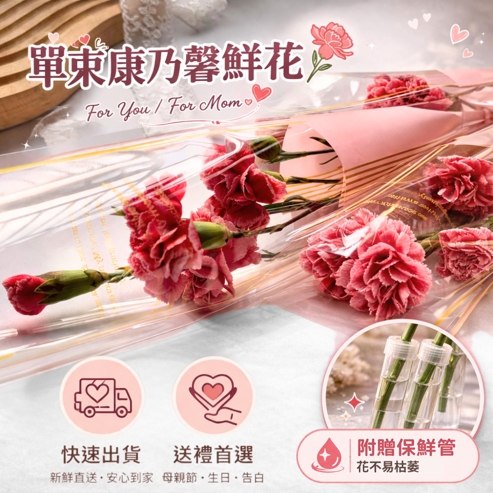 新鮮康乃馨花束 | 單支康乃馨鮮花