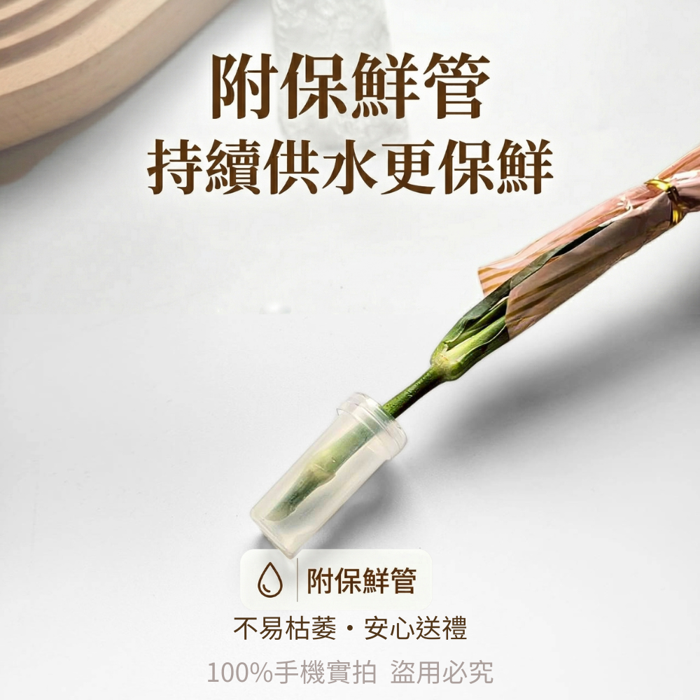 新鮮康乃馨花束 | 單支康乃馨鮮花