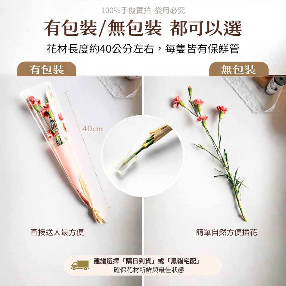 新鮮康乃馨花束 | 單支康乃馨鮮花