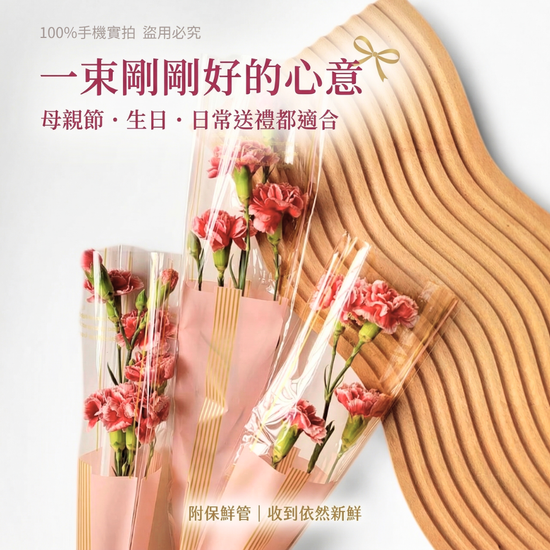 新鮮康乃馨花束 | 單支康乃馨鮮花