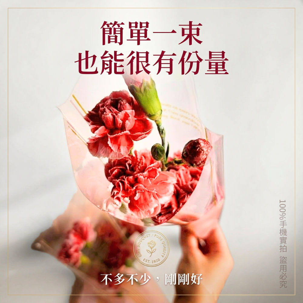 新鮮康乃馨花束 | 單支康乃馨鮮花