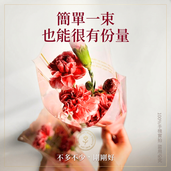 新鮮康乃馨花束 | 單支康乃馨鮮花