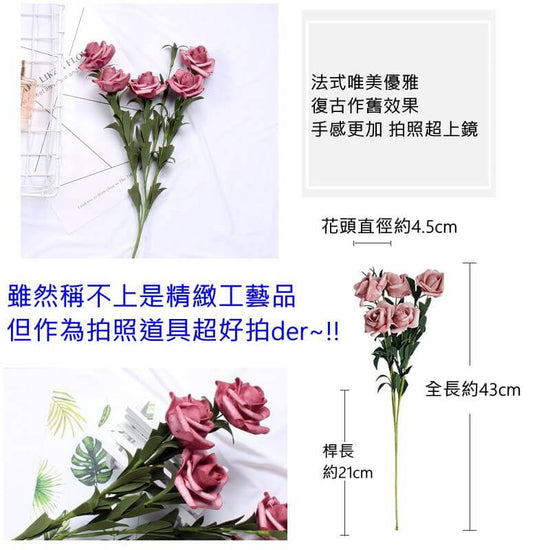 法式曼莎漸層玫瑰花