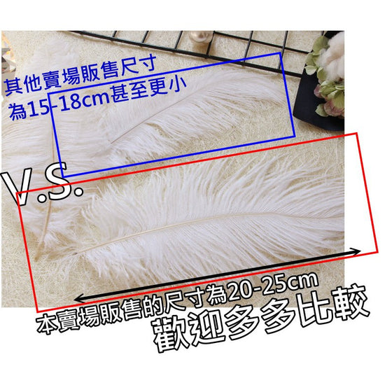 天然羽毛