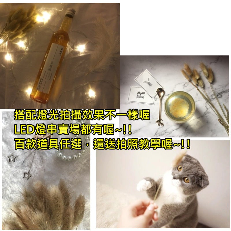 天然兔尾草-拍照道具狗尾巴乾燥花兔尾草 | 小藍湖產品形象專家