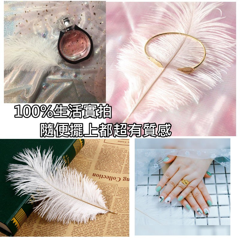 天然羽毛