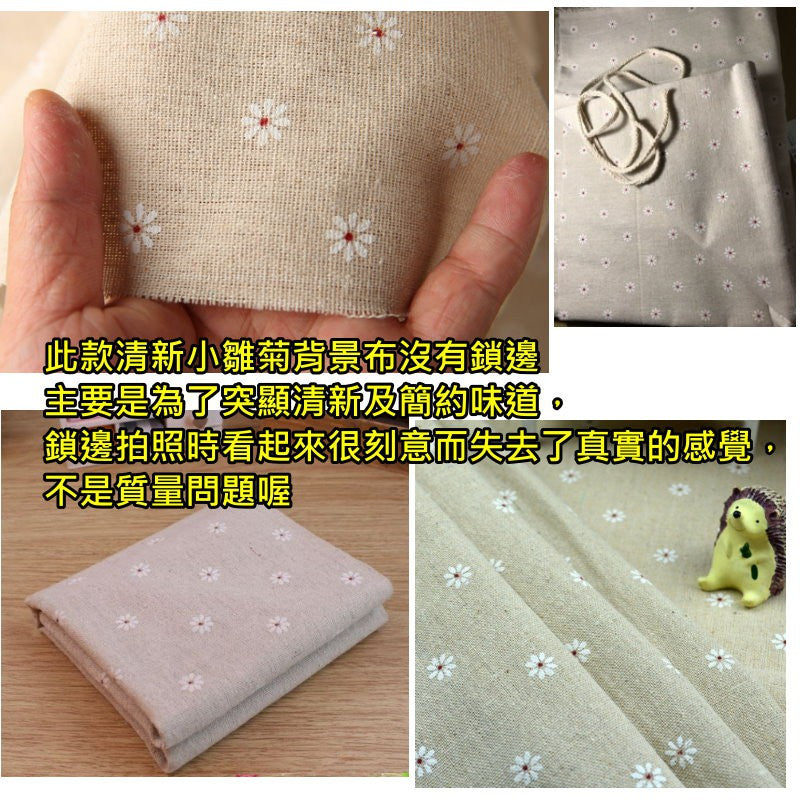 小雛菊背景布