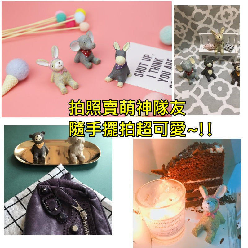 療癒系仰望星空小動物
