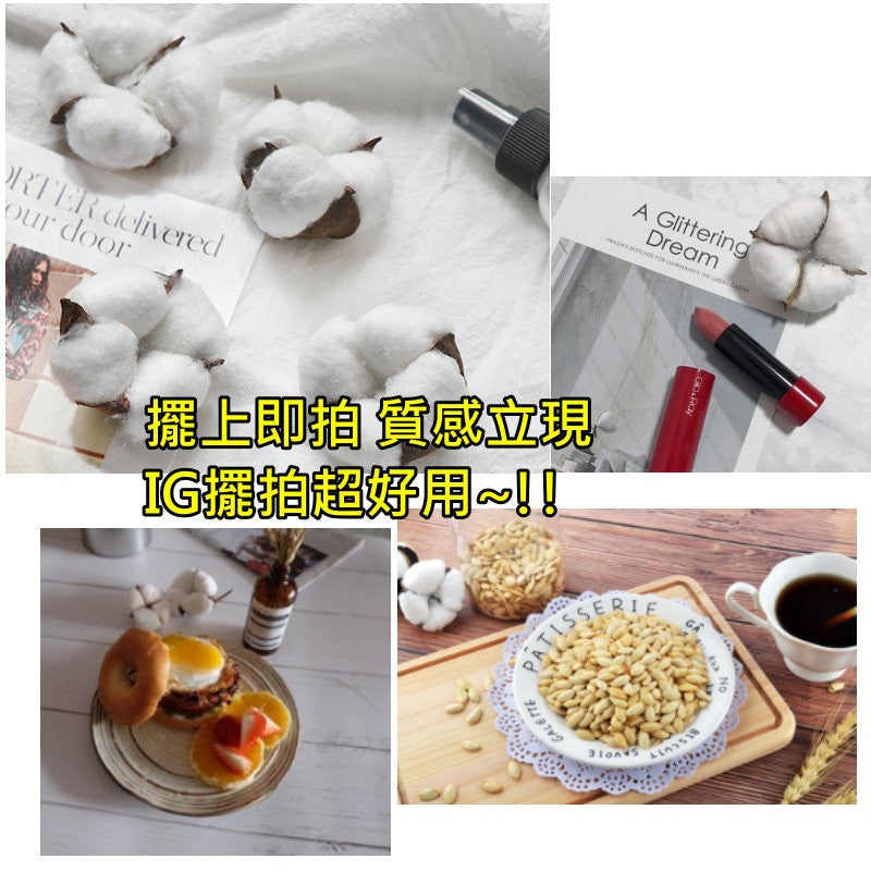 天然棉花-拍照道具拍攝背景單頭棉花永生花乾燥棉花 | 小藍湖產品形象專家