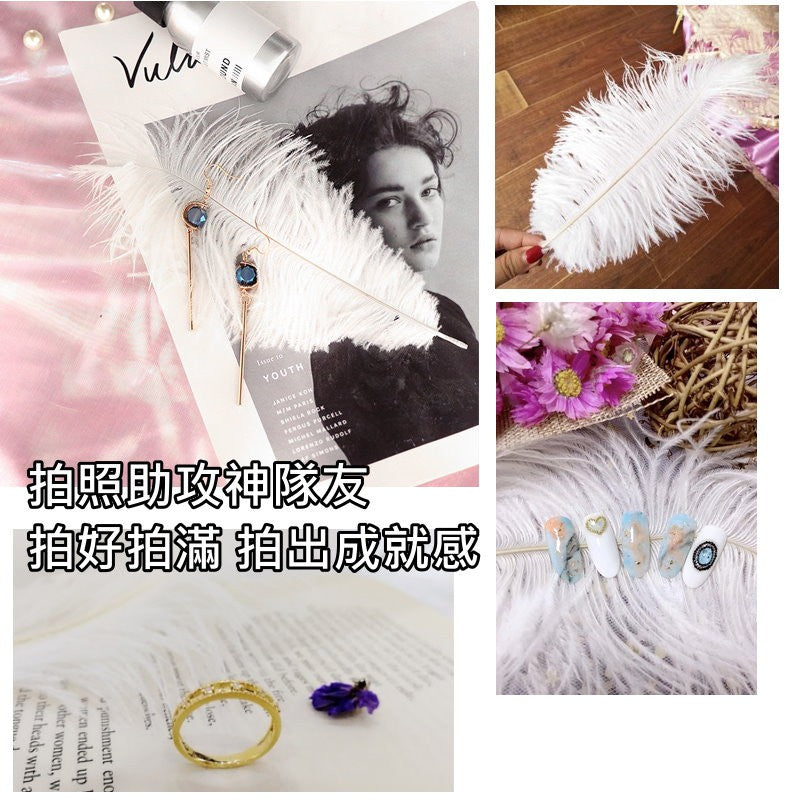 天然羽毛