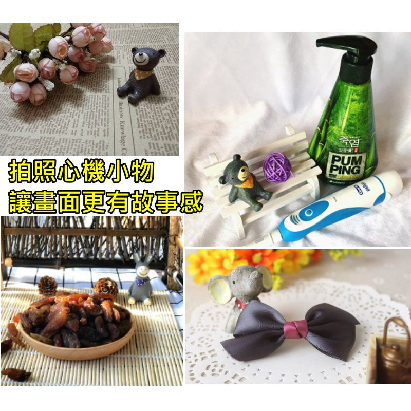 療癒系仰望星空小動物