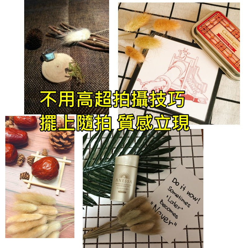 天然乾燥兔尾草