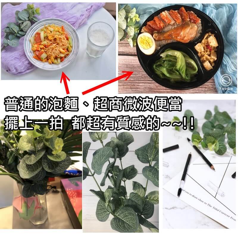 仿真尤加利葉