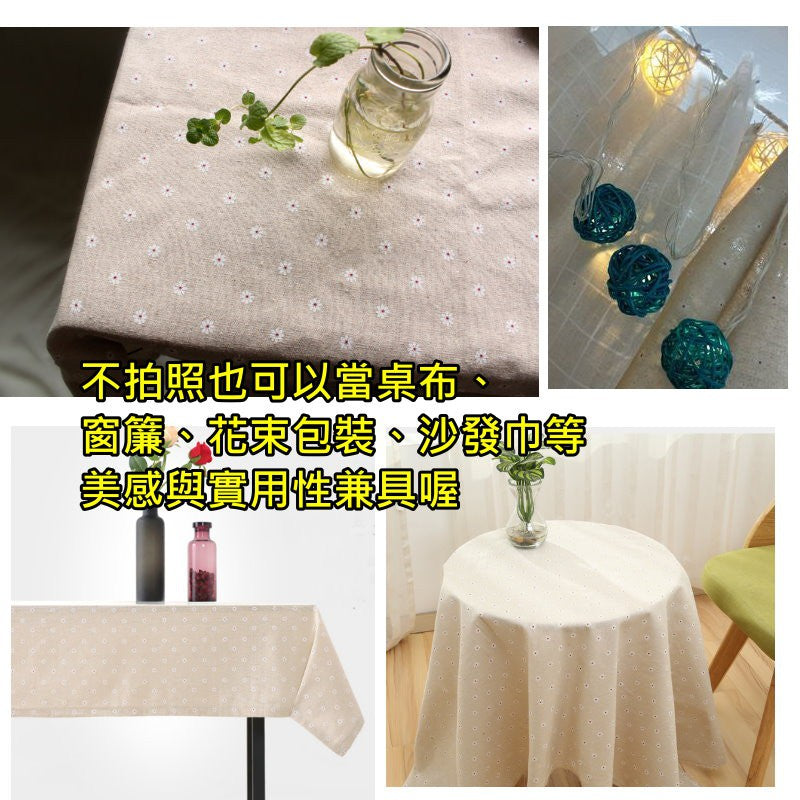 小雛菊背景布