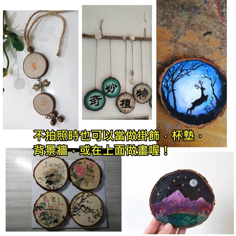拍照圓木片-Zakka風鄉村風森林系拍照道具 | 小藍湖產品形象專家
