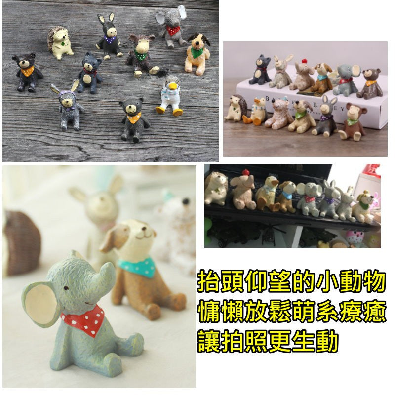 療癒系仰望星空小動物