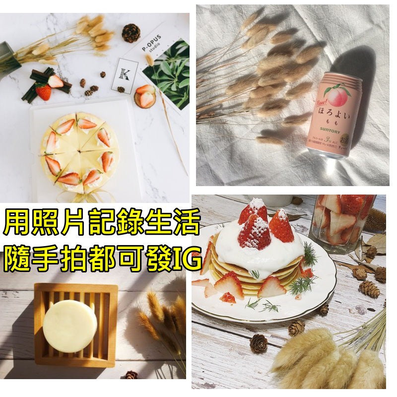 天然乾燥兔尾草