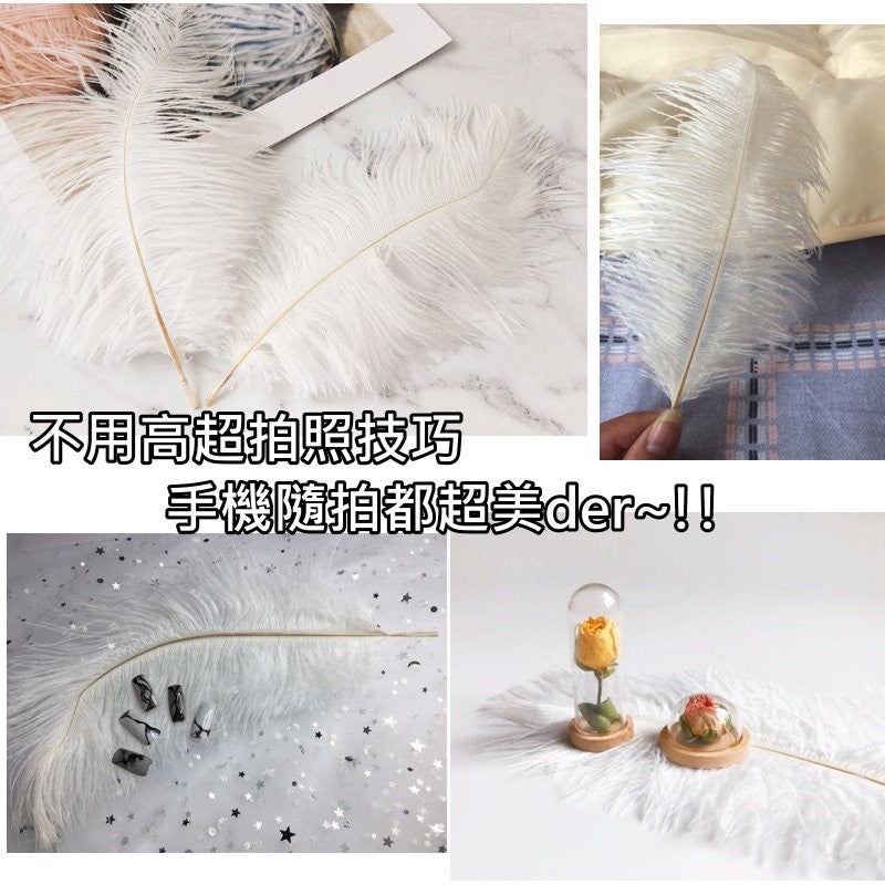 天然羽毛